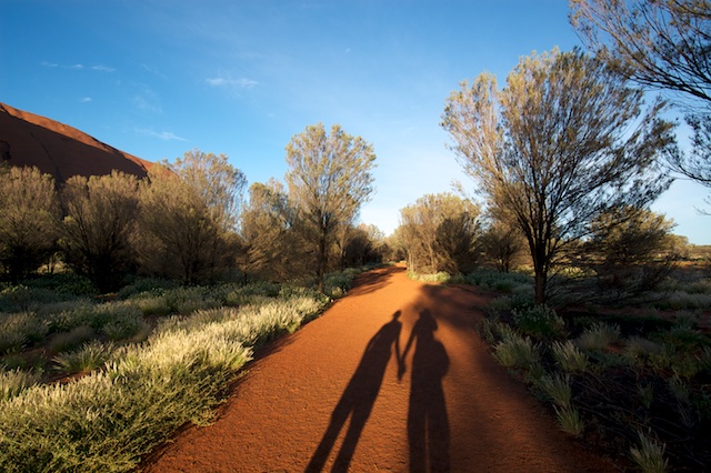 Long Legged Shadows in the Garden