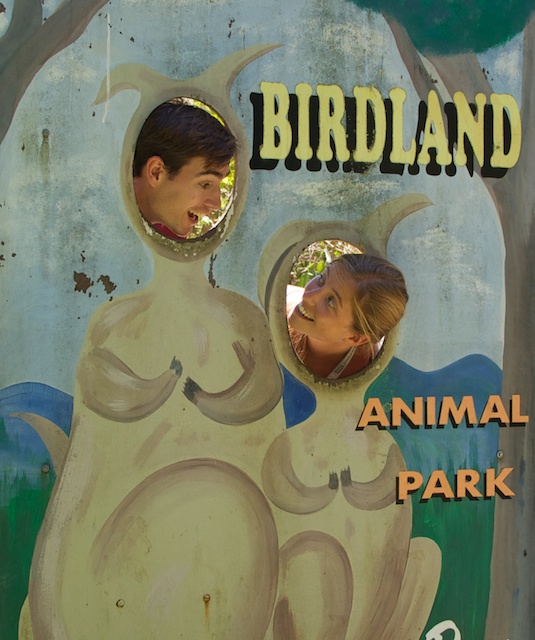 Birdland Animal Park
