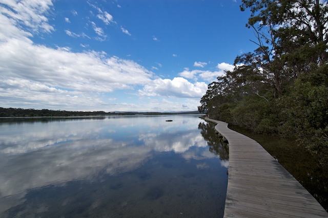 Morning walk on the Merimbula boardwalk