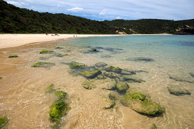 Clear Waters At Steamers Beach