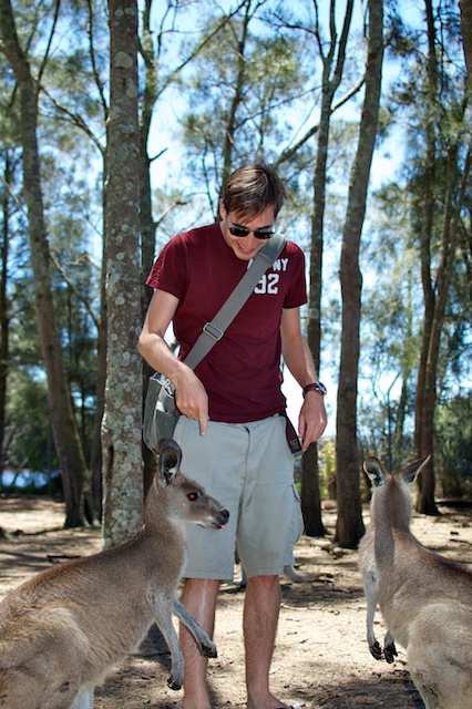 Evil Kangaroos