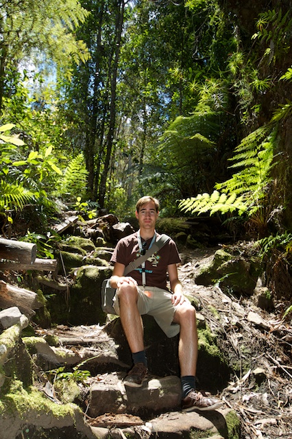 Andrew in the magical forest