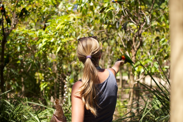 Pangan and the Parrots