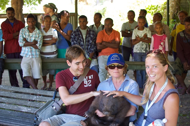 Wij en de Wombat