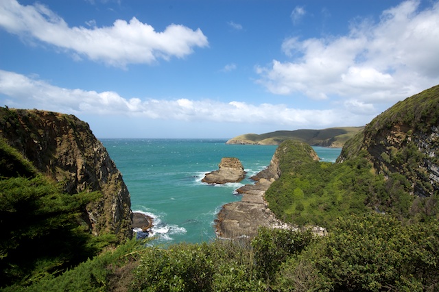 On the way to Jack's Blowhole in the Catlins