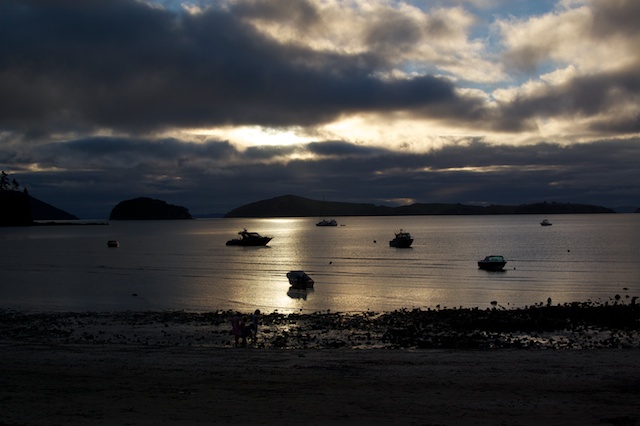 Coromandel Sunset