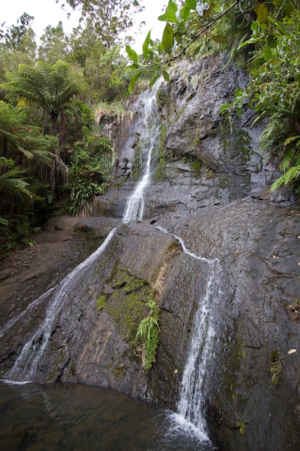 Fairy Falls