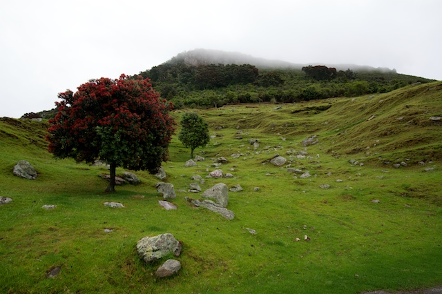 Mount Maunganui